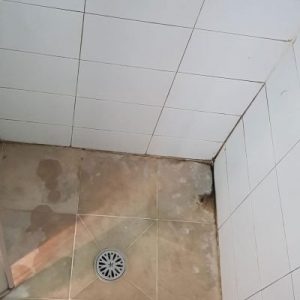 Shower-Before-10-400x516