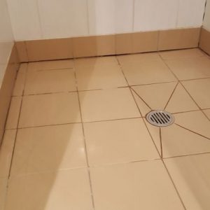 Shower-Before-Photo-Chatswood-400x516