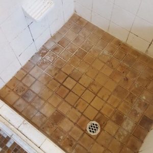Shower-Before-Photo-Hornsby-400x516